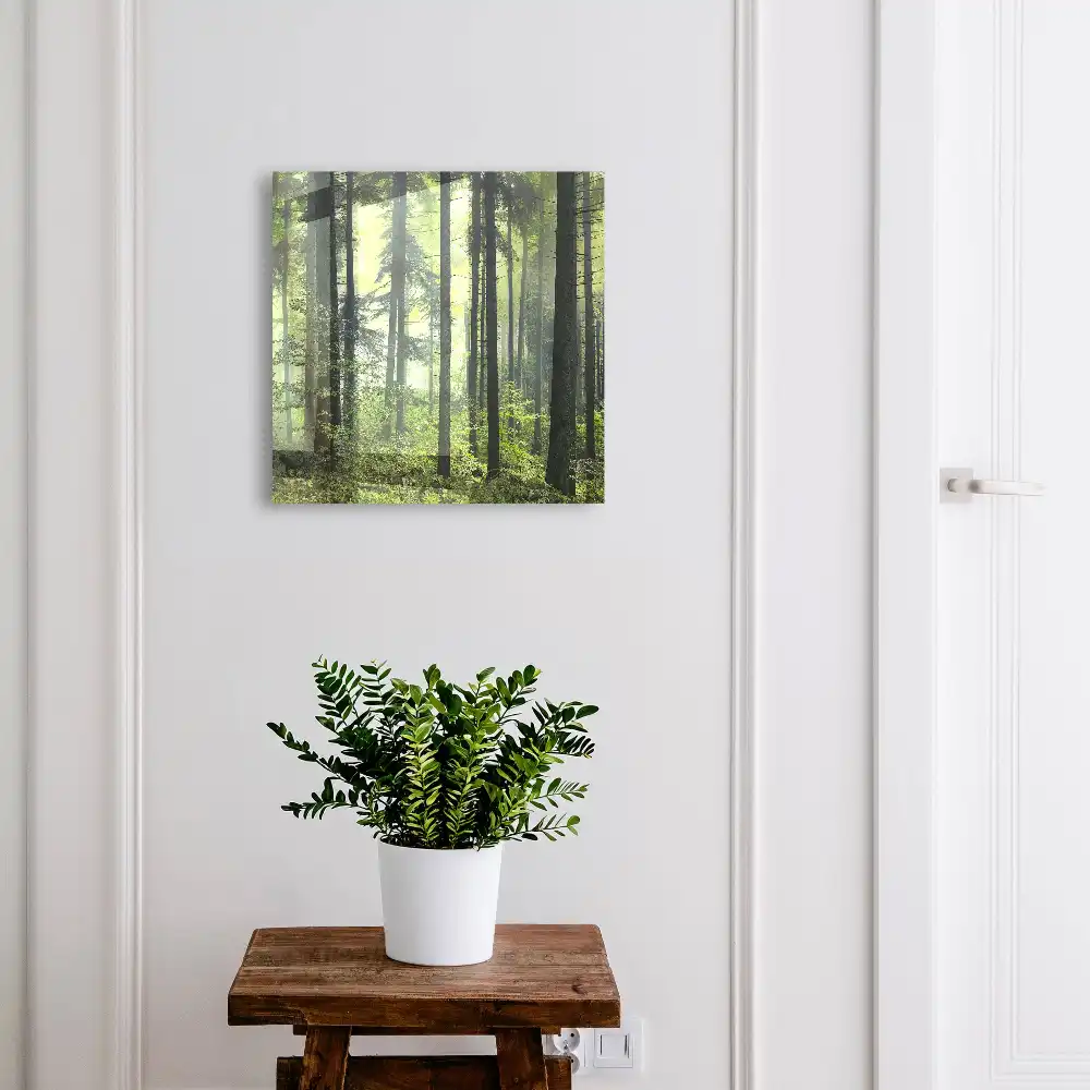 Boîte à clés une forêt brumeuse pleine de soleil et de verdure