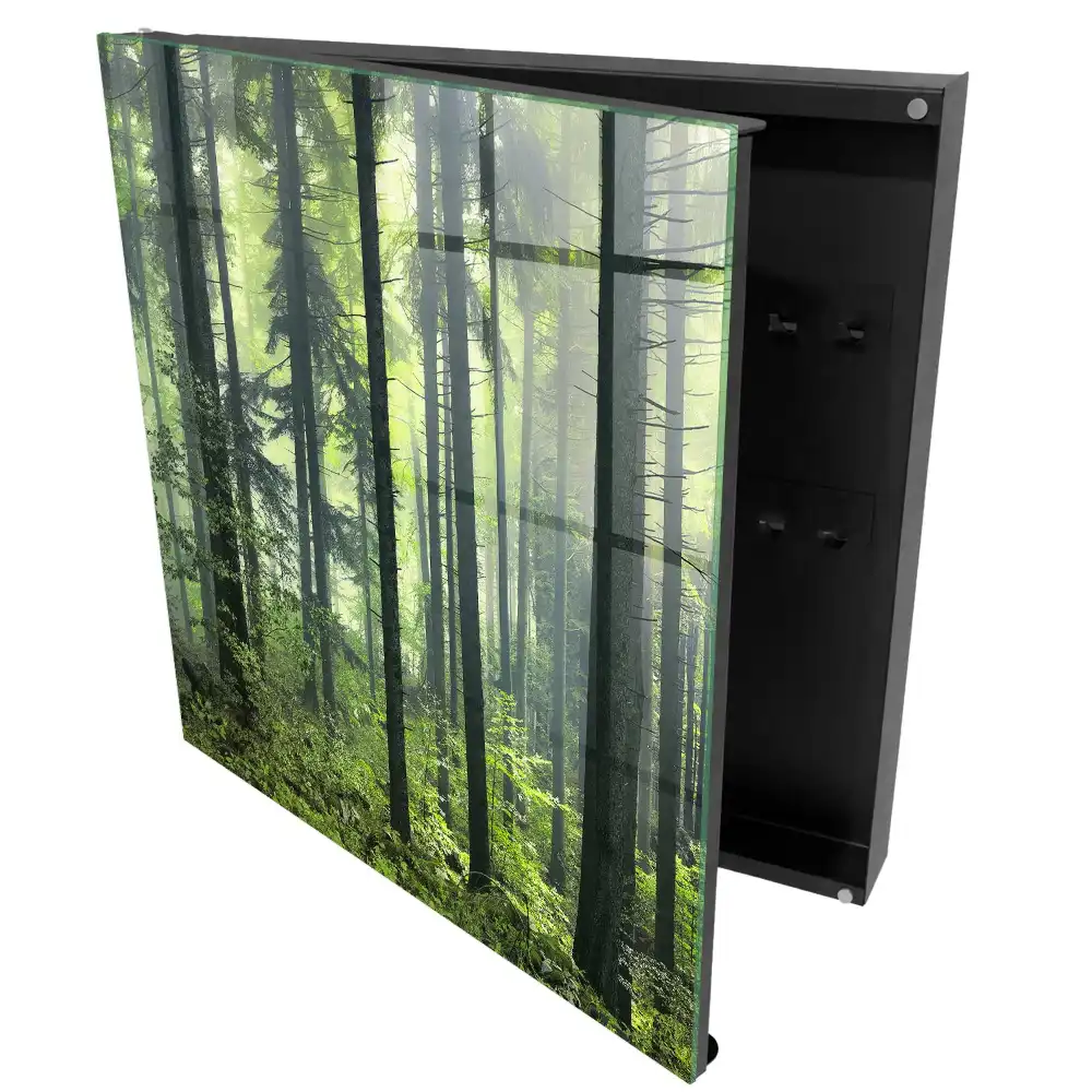 Boîte à clés une forêt brumeuse pleine de soleil et de verdure