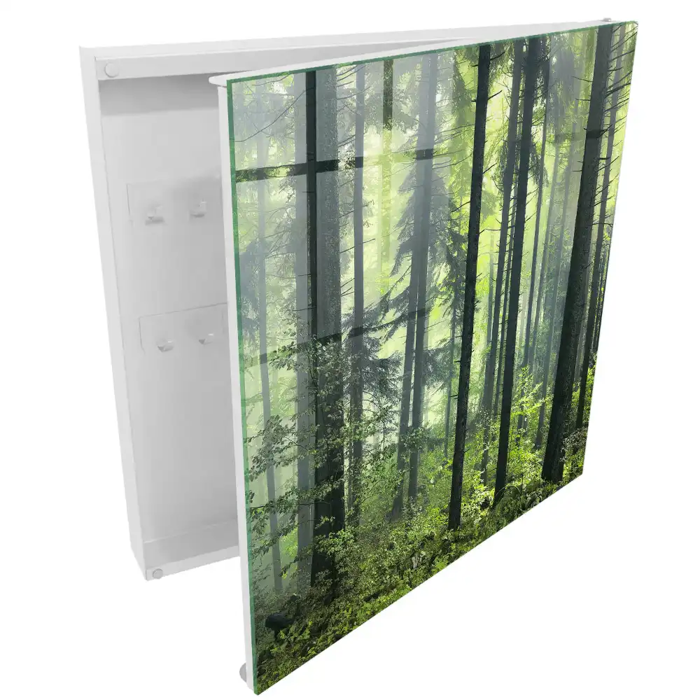 Boîte à clés une forêt brumeuse pleine de soleil et de verdure