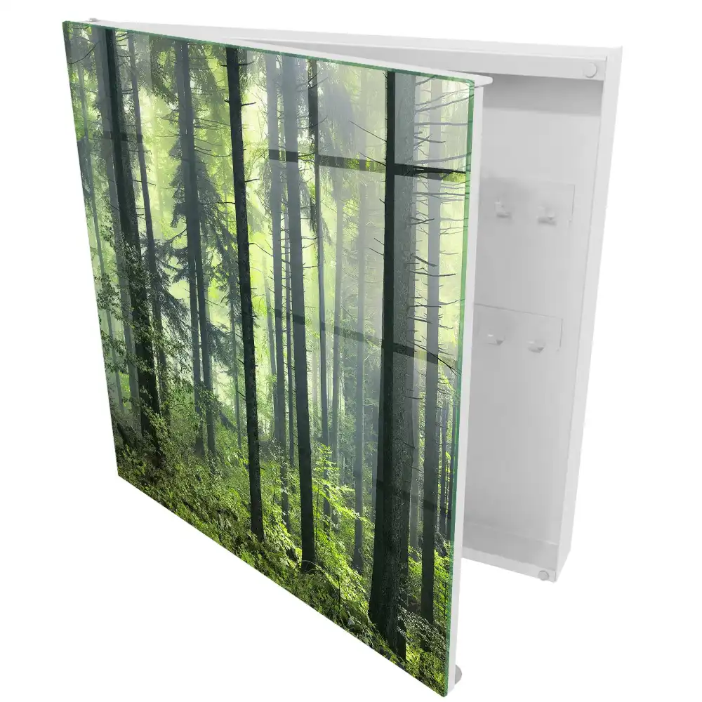 Boîte à clés une forêt brumeuse pleine de soleil et de verdure