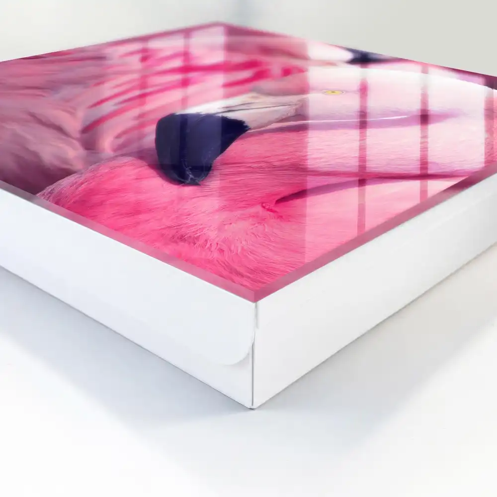 Armoire à clés flamants roses dans une douce lumière