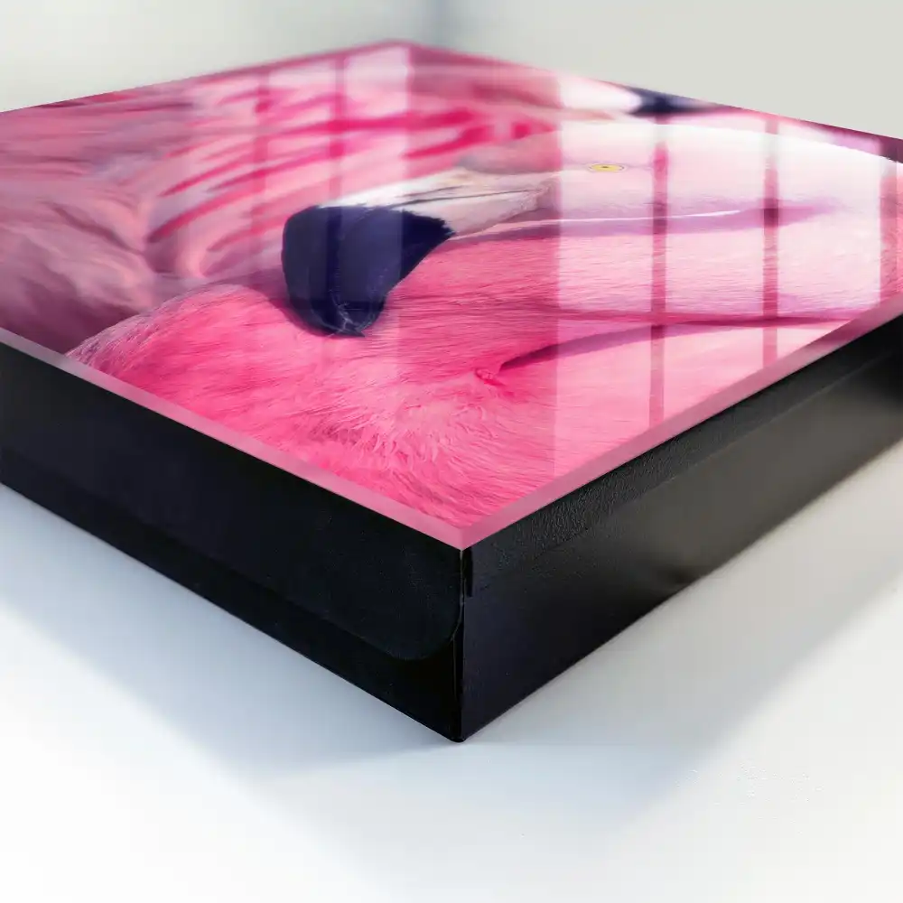 Armoire à clés flamants roses dans une douce lumière