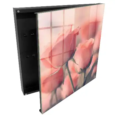Armoire à clés des roses subtiles aux teintes pastel