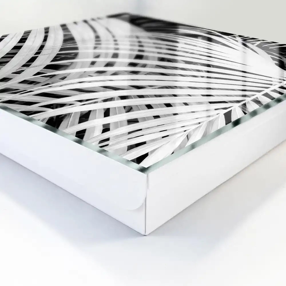 Armoire à clés feuilles efficaces en noir et blanc