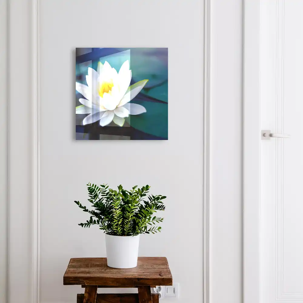 Armoire à clés nénuphar sur un étang méditation en pleine nature