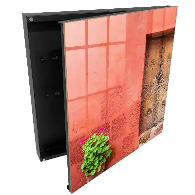 Boîte à clés murale murs rouges plante verte et porte en bois