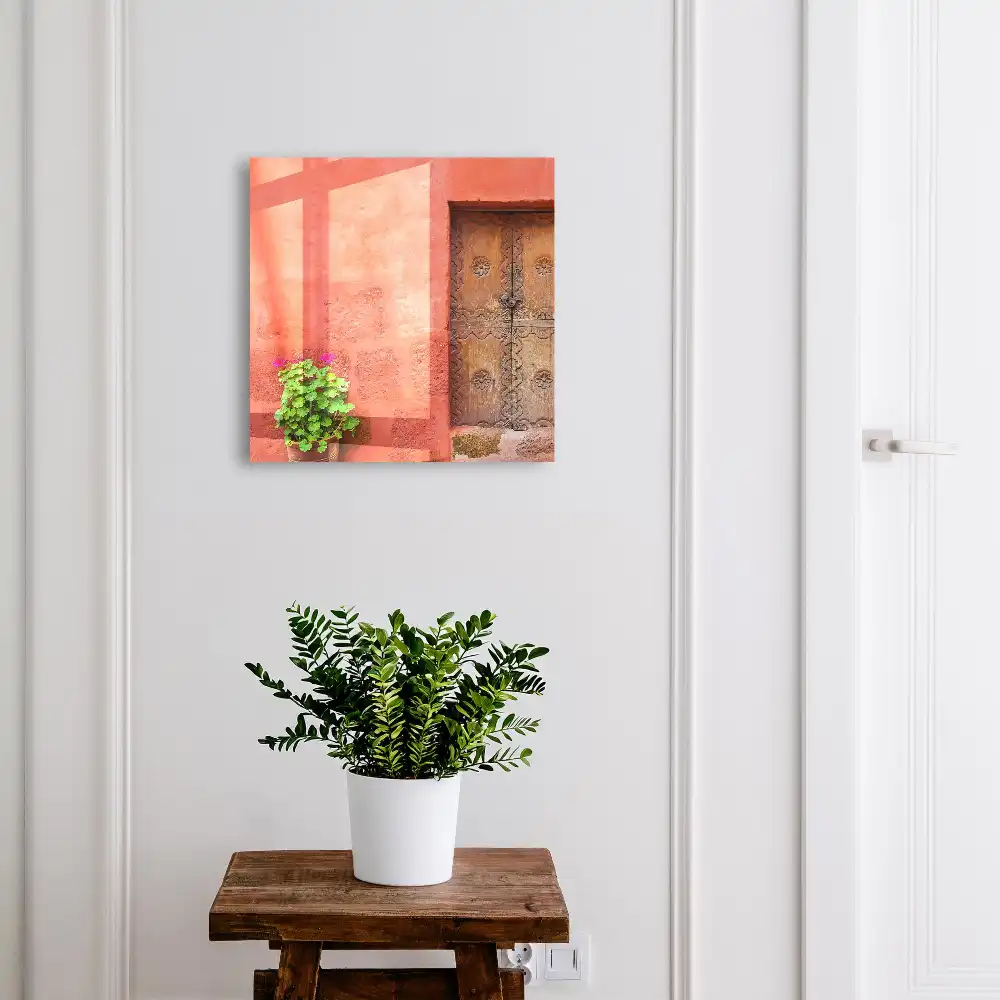 Boîte à clés murale murs rouges plante verte et porte en bois