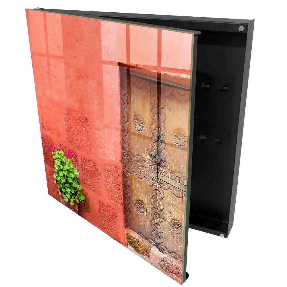 Boîte à clés murale murs rouges plante verte et porte en bois