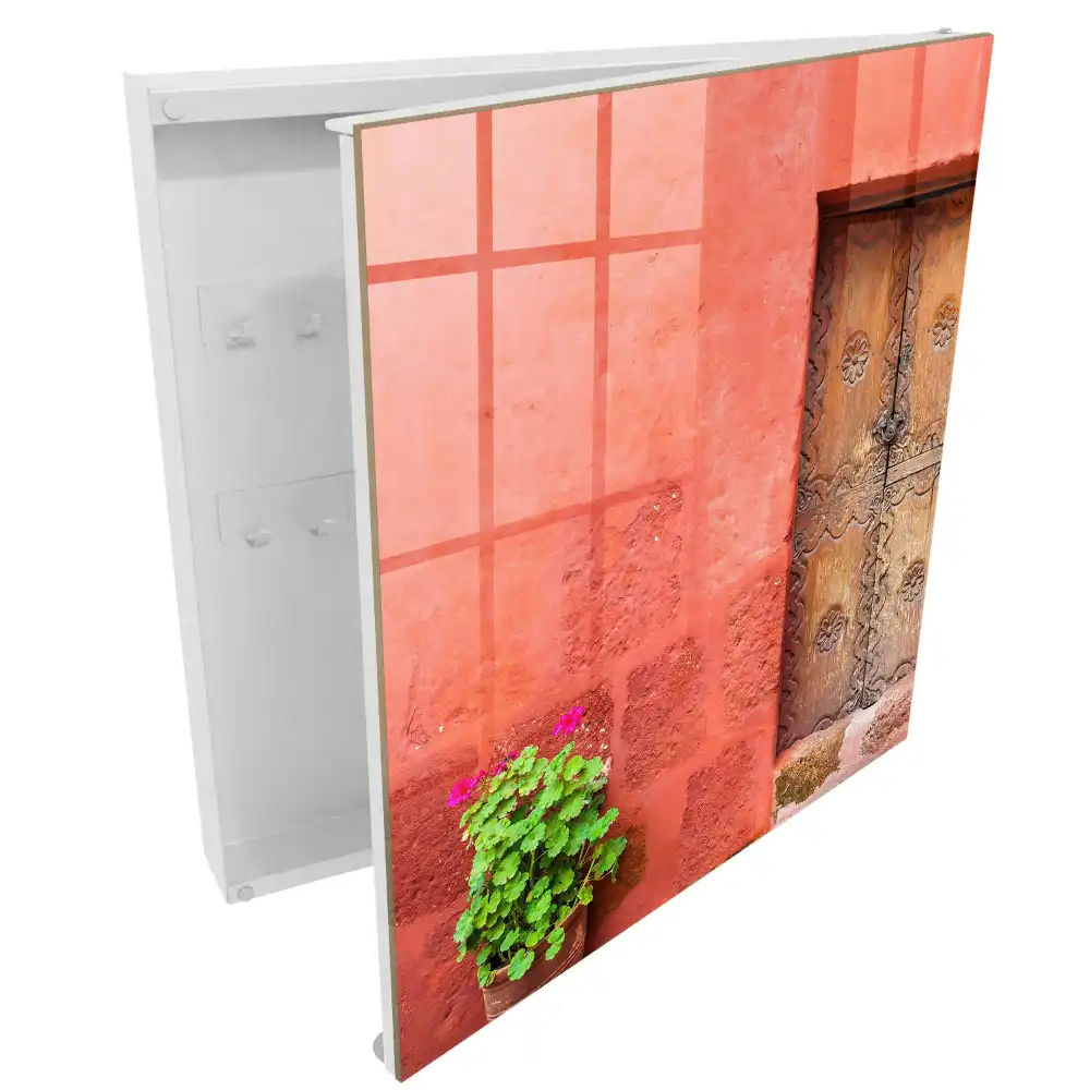 Boîte à clés murale murs rouges plante verte et porte en bois