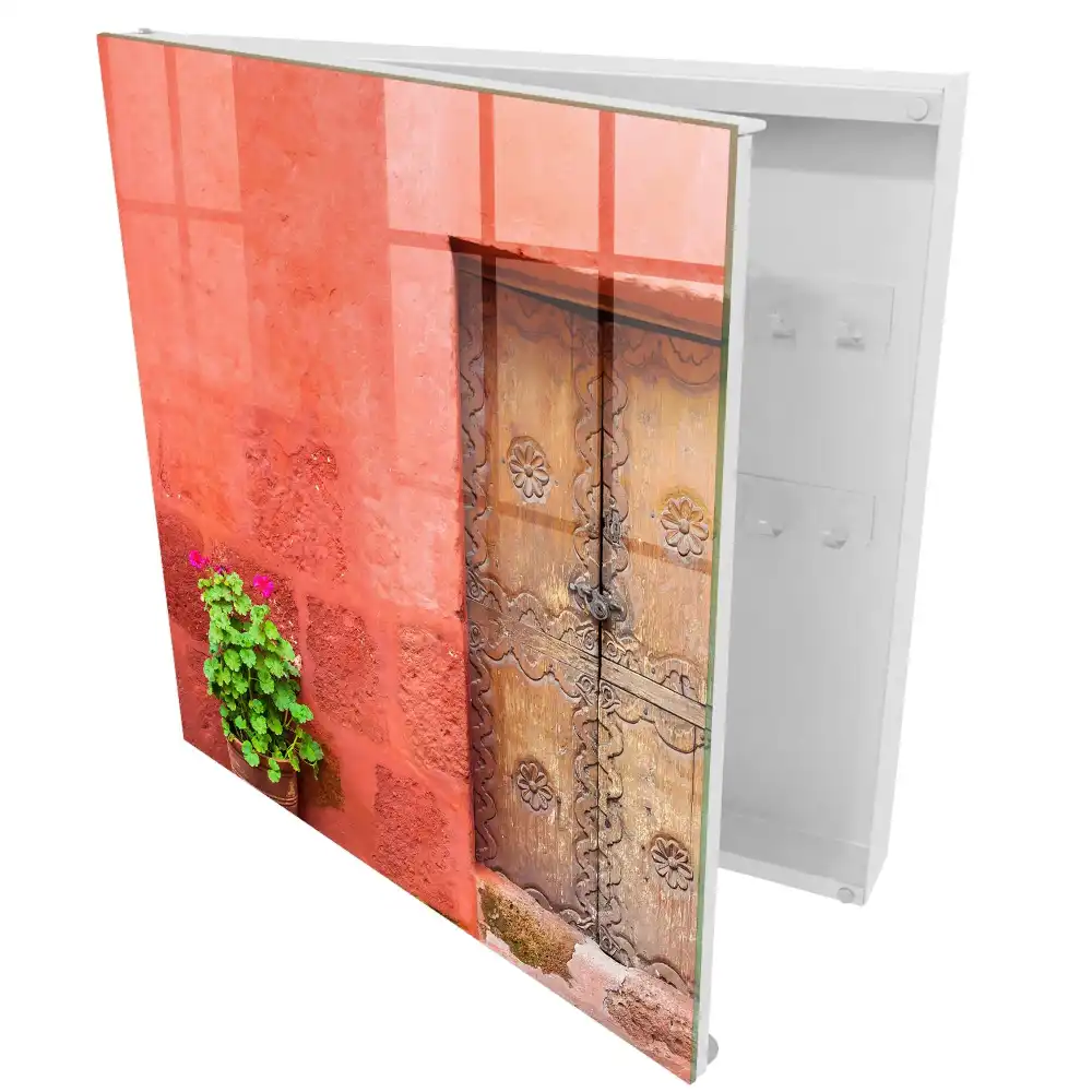 Boîte à clés murale murs rouges plante verte et porte en bois