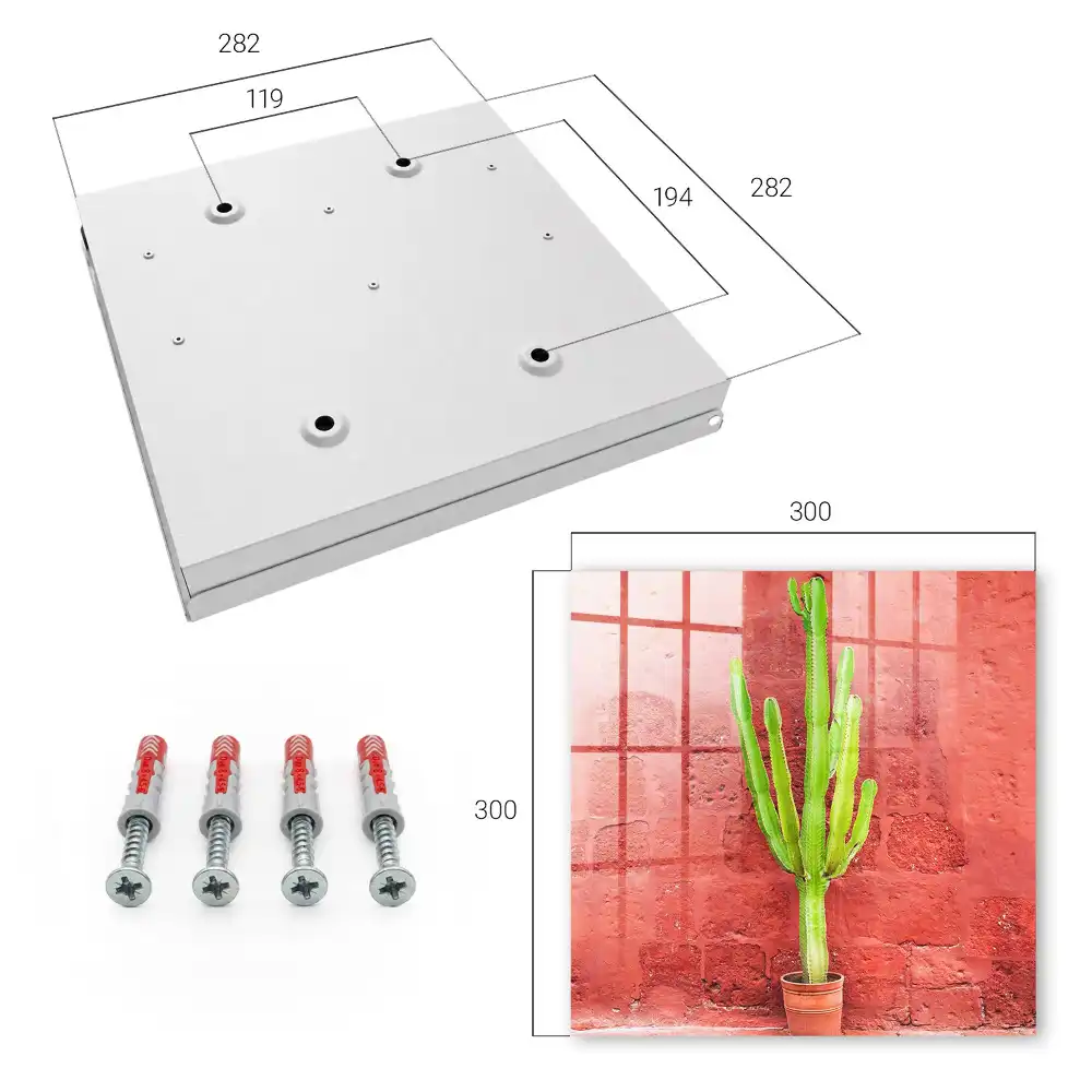 Boîte à clés cactus vert sur un mur rouge