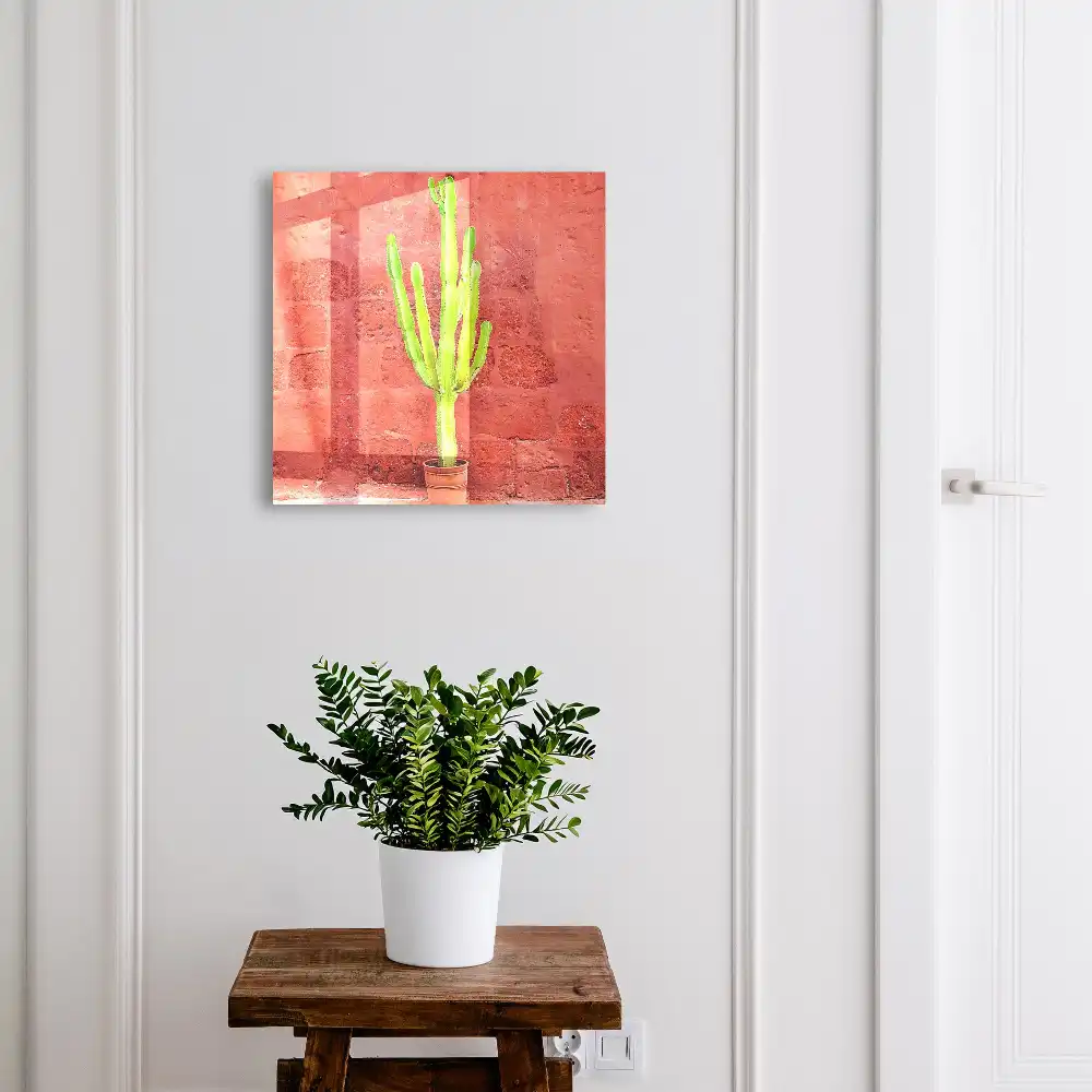 Boîte à clés cactus vert sur un mur rouge
