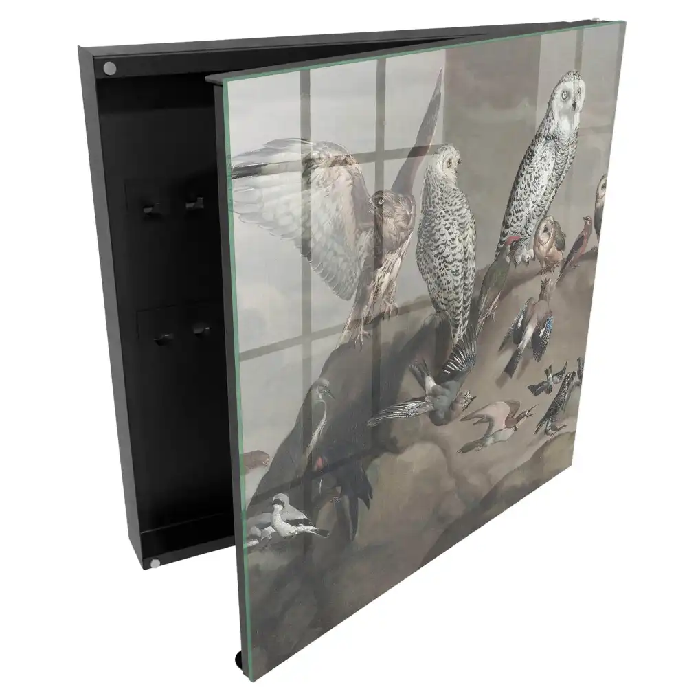 Armoire à clés une variété d'oiseaux sur un rocher pittoresque