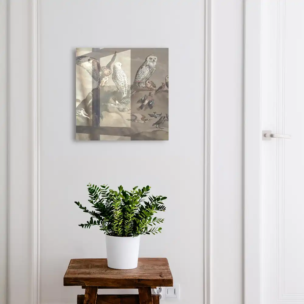 Armoire à clés une variété d'oiseaux sur un rocher pittoresque