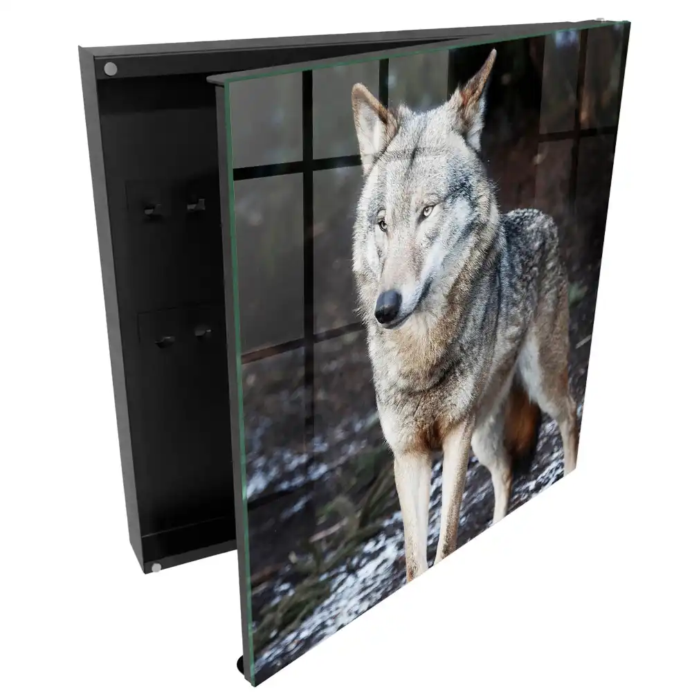 Boîte à clés un loup majestueux dans une forêt pleine de contrastes