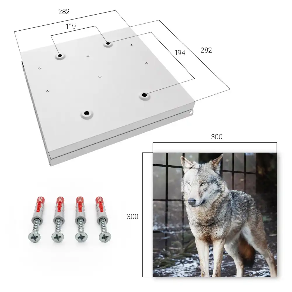Boîte à clés un loup majestueux dans une forêt pleine de contrastes