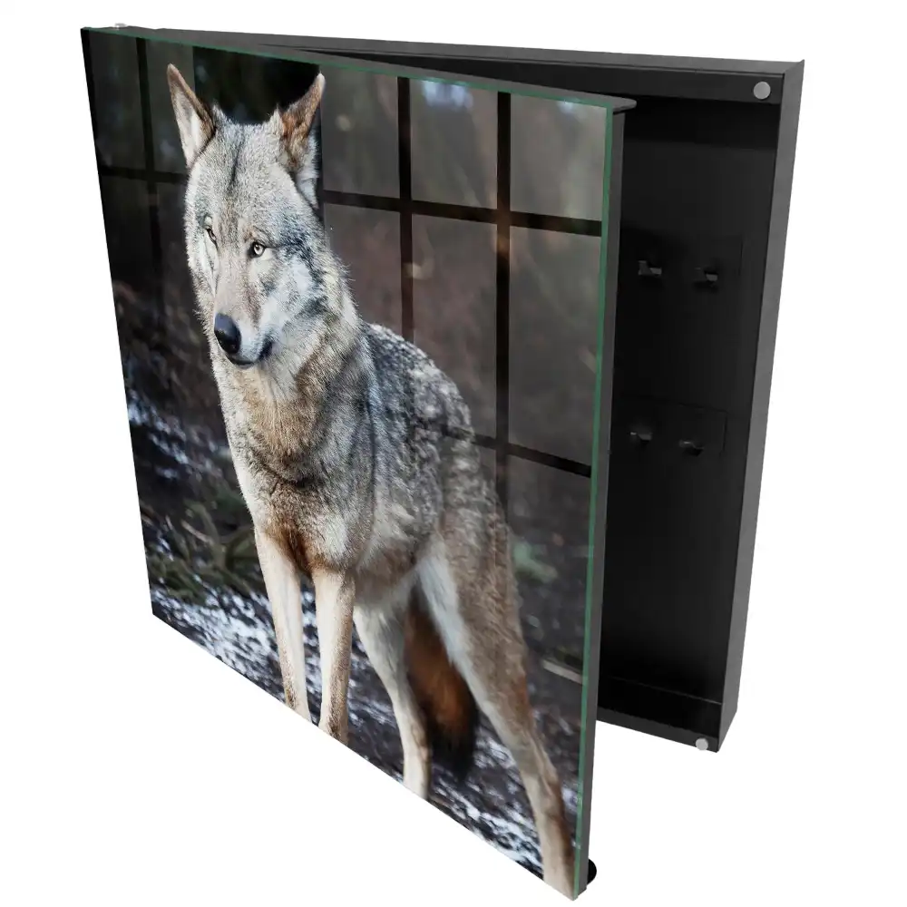 Boîte à clés un loup majestueux dans une forêt pleine de contrastes