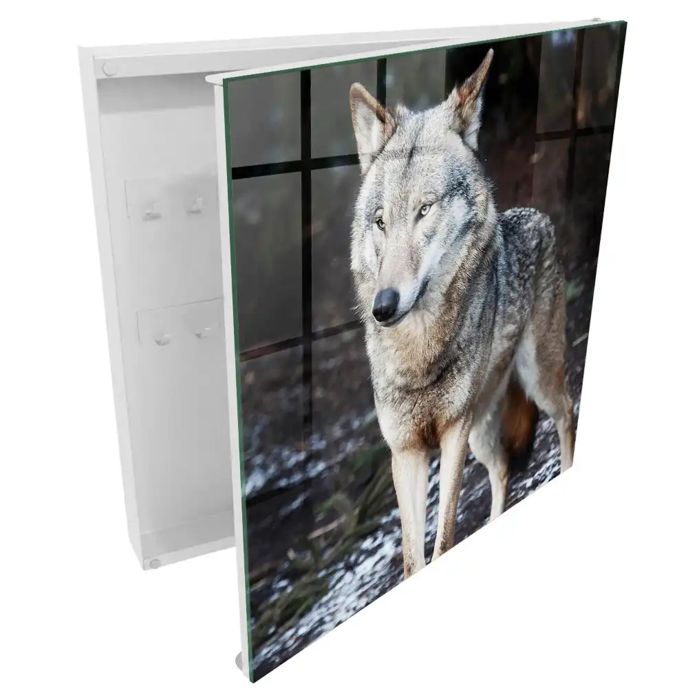 Boîte à clés un loup majestueux dans une forêt pleine de contrastes
