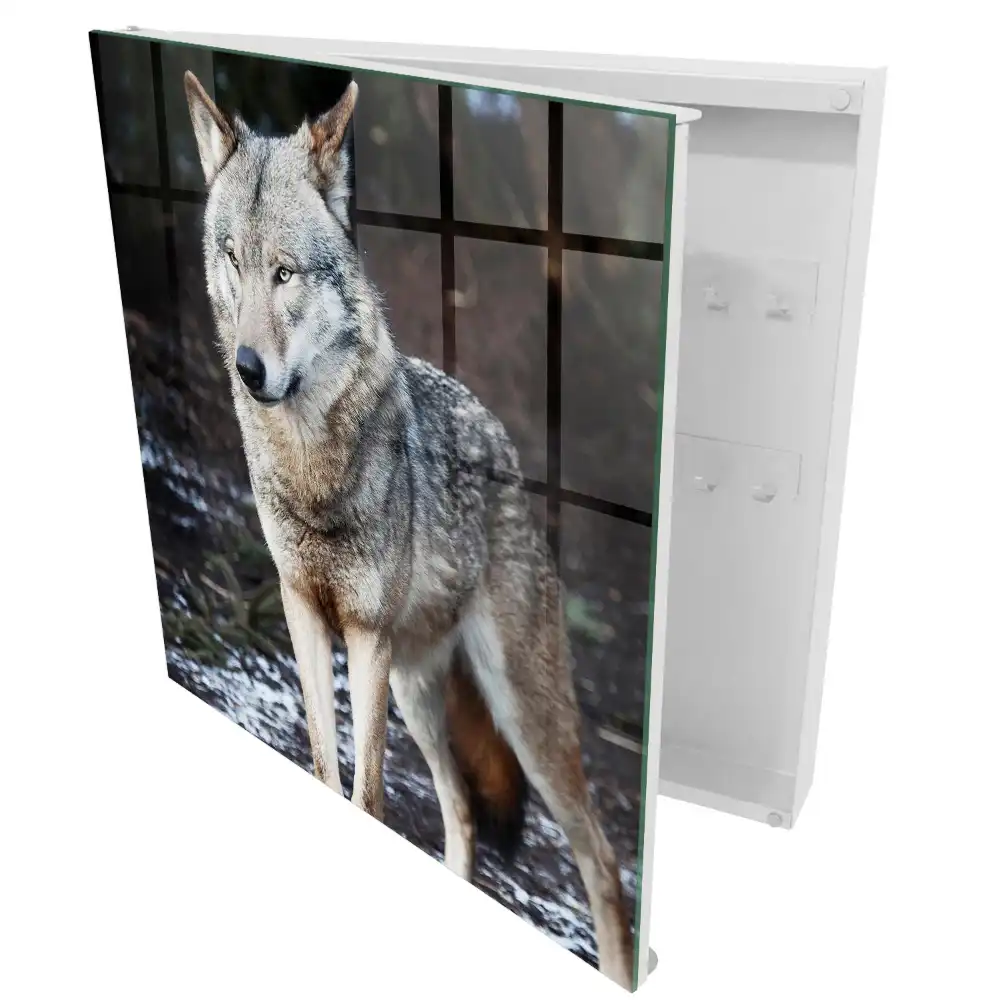 Boîte à clés un loup majestueux dans une forêt pleine de contrastes
