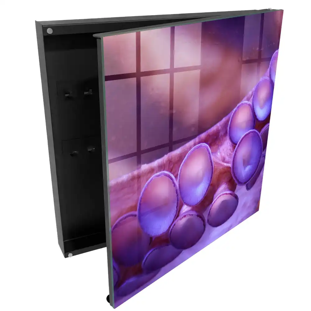 Boîte à clés murale ventouses violettes à l'atmosphère mystérieuse
