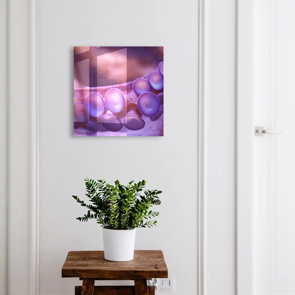 Boîte à clés murale ventouses violettes à l'atmosphère mystérieuse