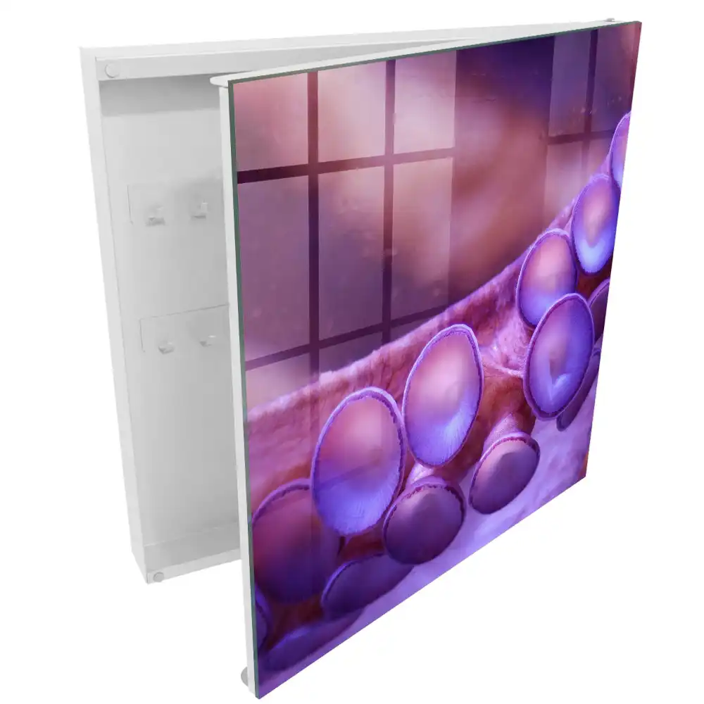 Boîte à clés murale ventouses violettes à l'atmosphère mystérieuse