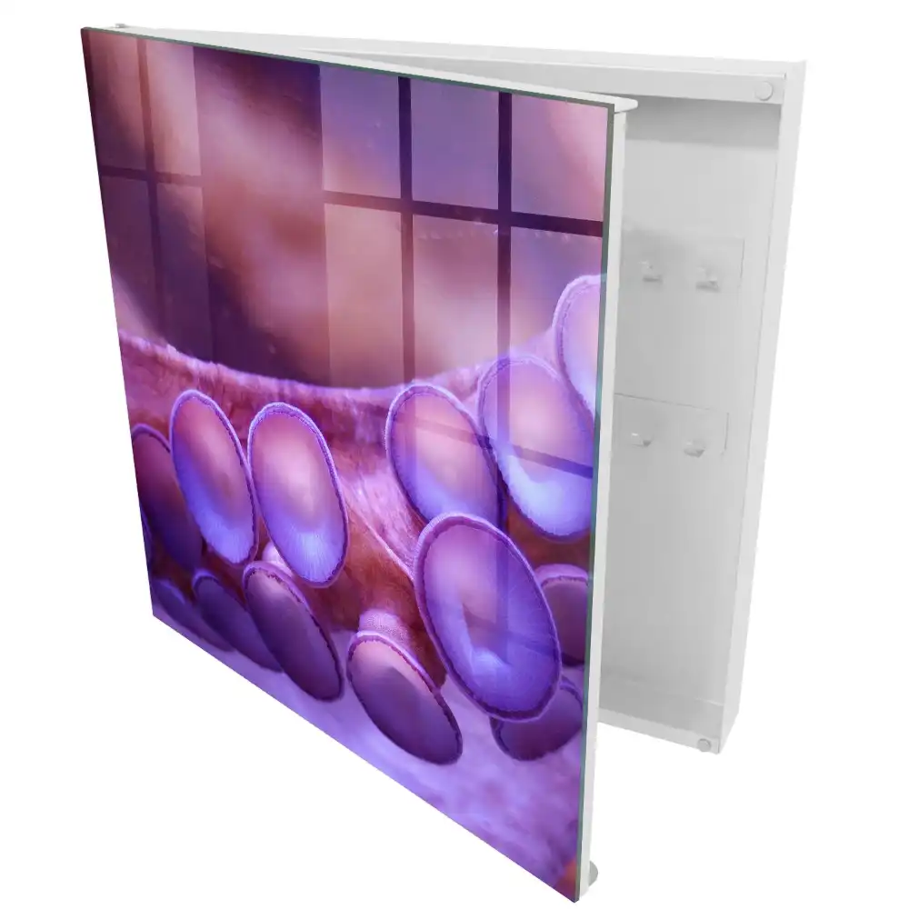 Boîte à clés murale ventouses violettes à l'atmosphère mystérieuse