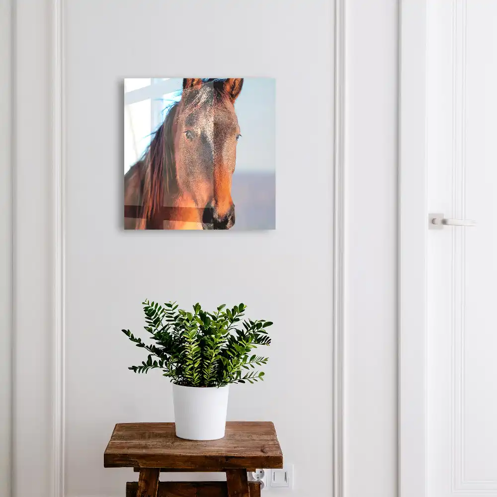 Boîte à clés portrait d'un cheval en lumière naturelle