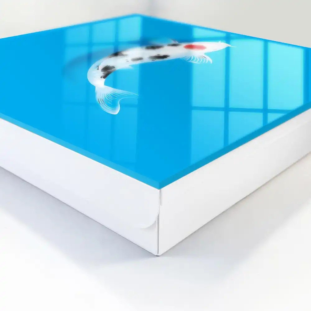 Boîte à clés poissons koi noirs et blancs sur fond bleu