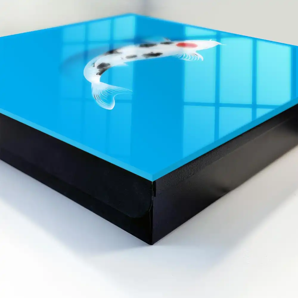 Boîte à clés poissons koi noirs et blancs sur fond bleu