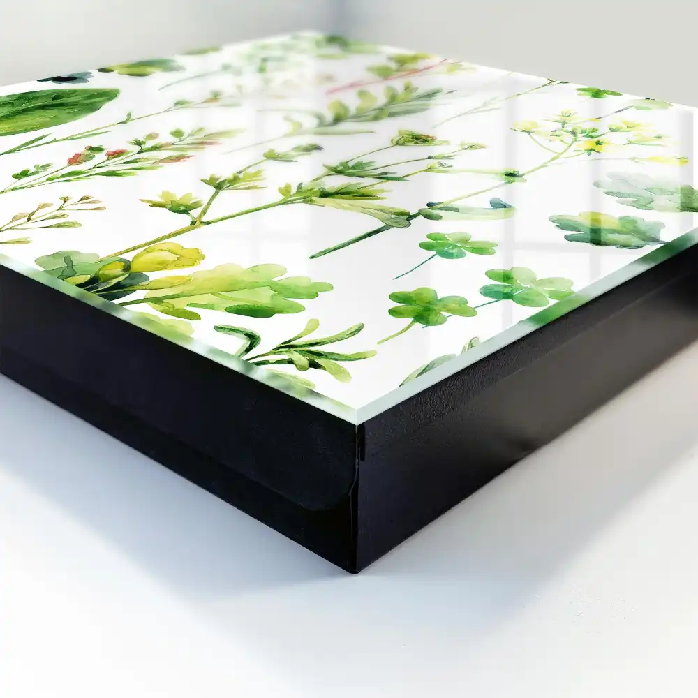 Boîte à clés murale plantes vertes sur fond blanc dans un style aquarelle
