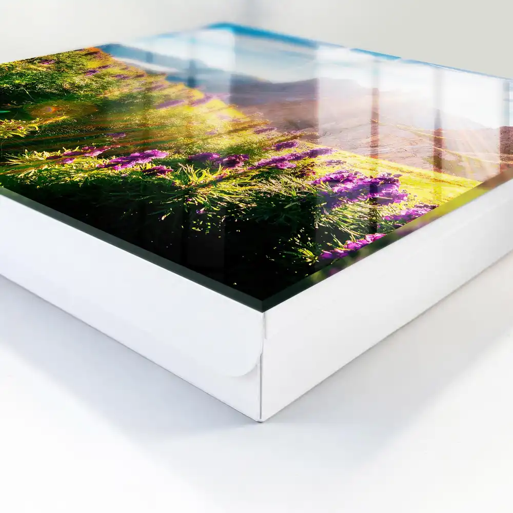 Boîte à clés paysage de montagne avec des fleurs et du soleil