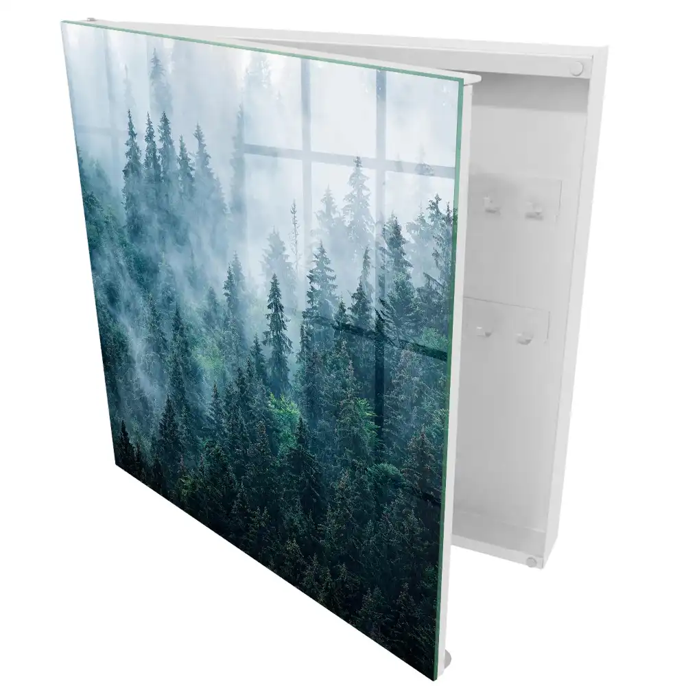 Boîte à clés forêt mystérieuse dans le brouillard matinal