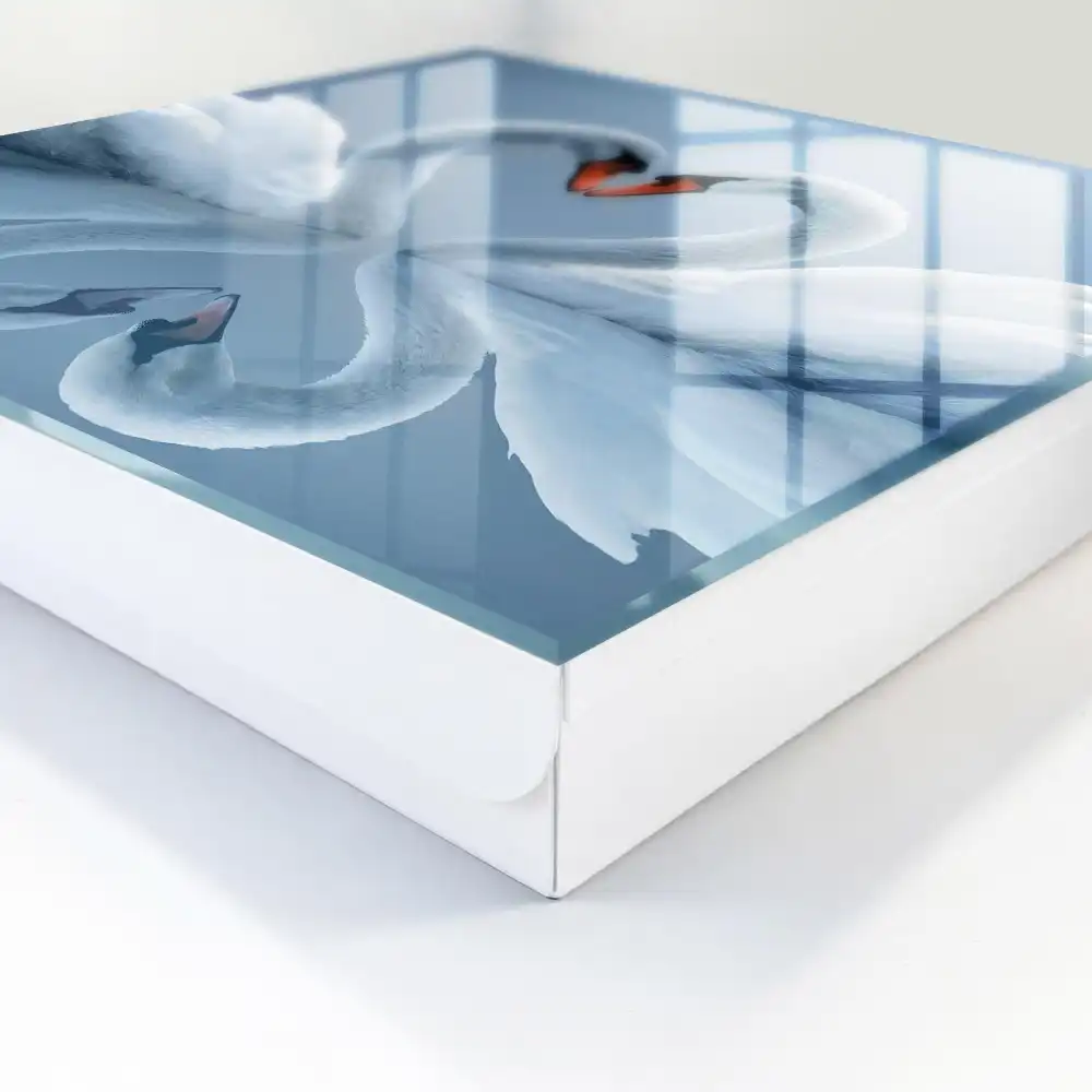 Armoire à clés des cygnes symétriques sur l'eau forment un cœur