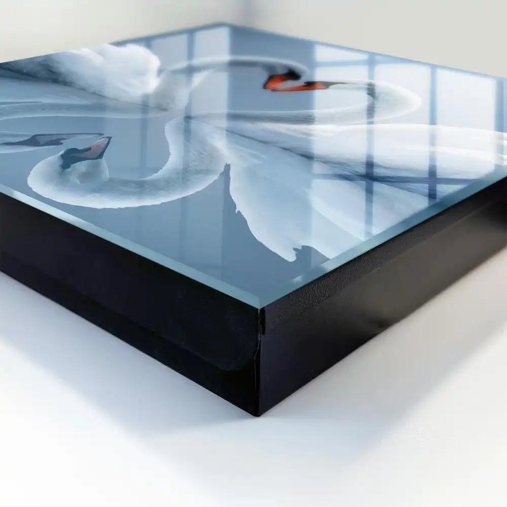 Armoire à clés des cygnes symétriques sur l'eau forment un cœur