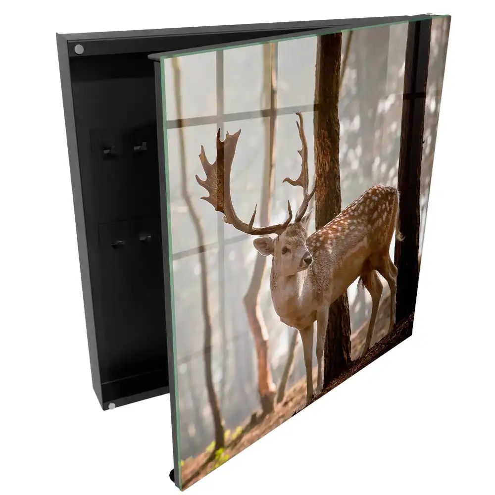 Armoire à clés des cerfs dans la forêt au coucher du soleil