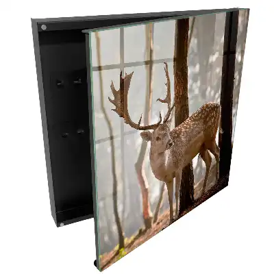 Armoire à clés des cerfs dans la forêt au coucher du soleil