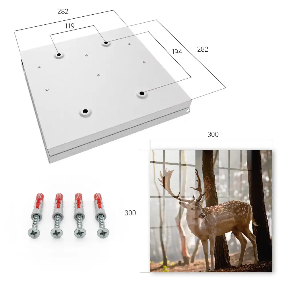 Armoire à clés des cerfs dans la forêt au coucher du soleil