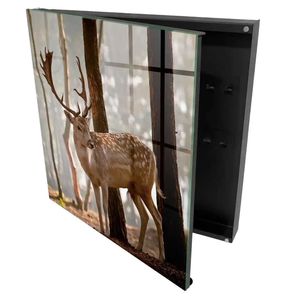 Armoire à clés des cerfs dans la forêt au coucher du soleil