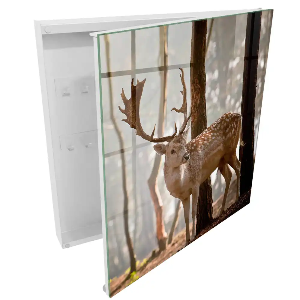 Armoire à clés des cerfs dans la forêt au coucher du soleil
