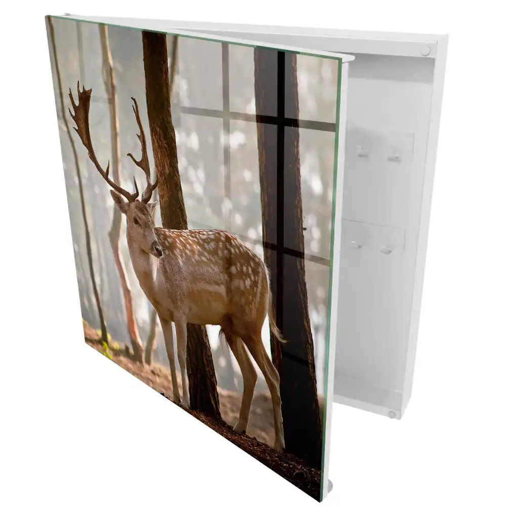 Armoire à clés des cerfs dans la forêt au coucher du soleil