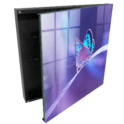 Armoire à clés papillon coloré sur fond violet