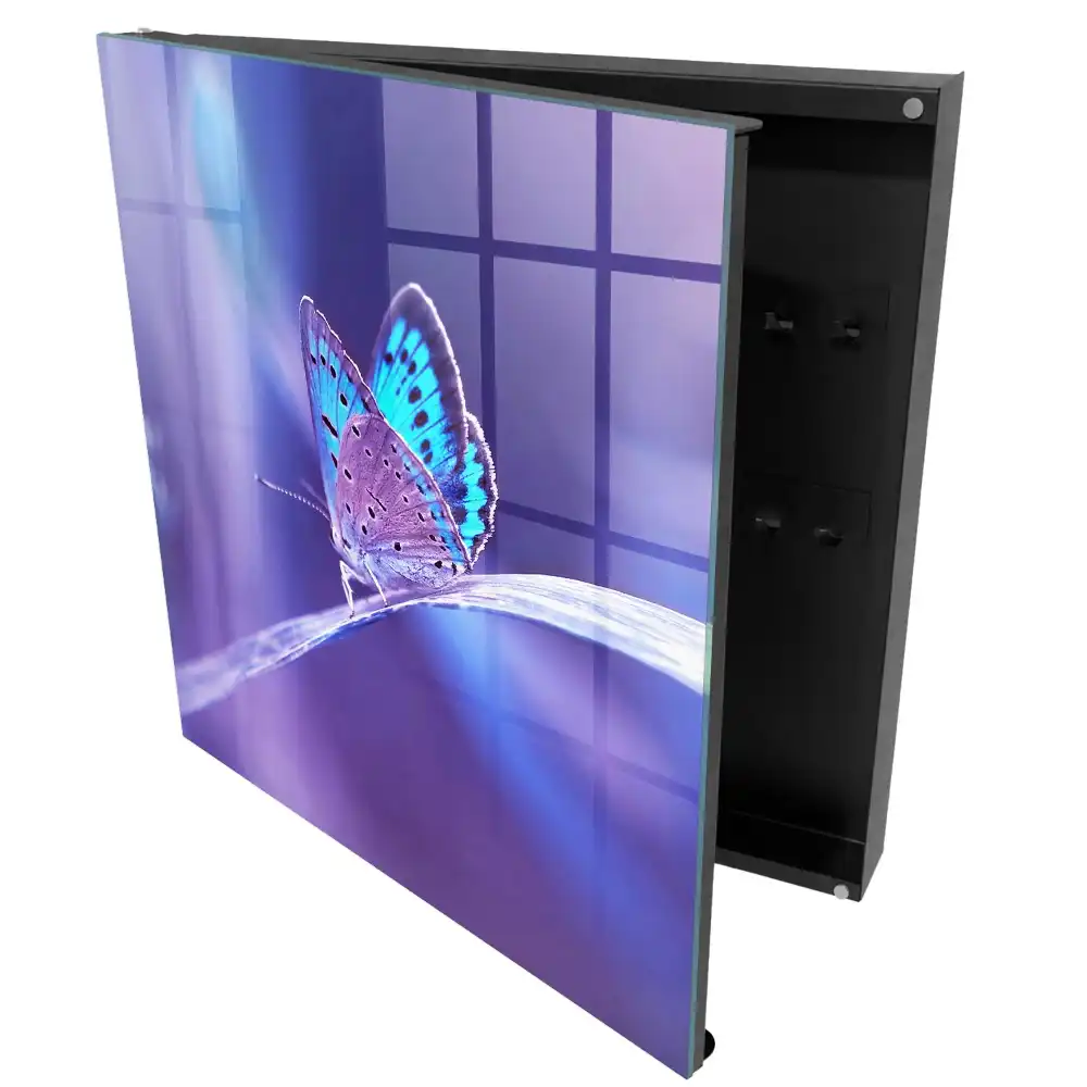 Armoire à clés papillon coloré sur fond violet
