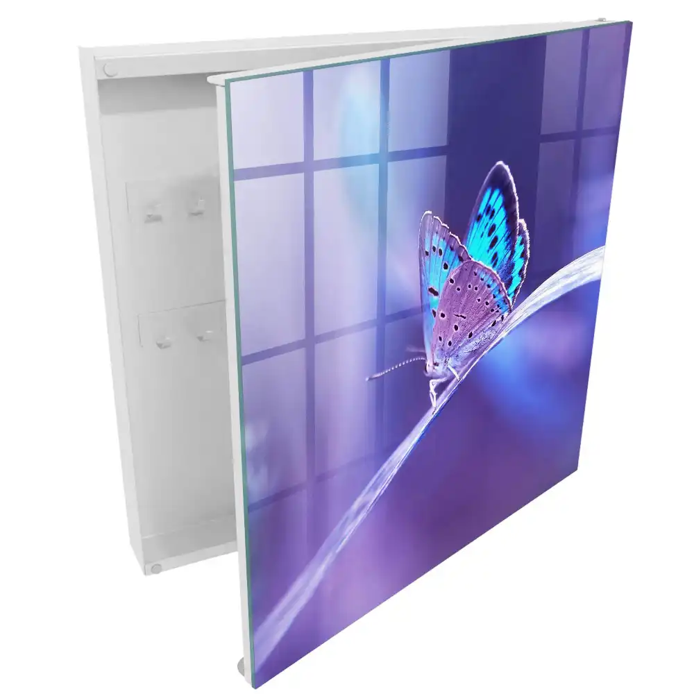 Armoire à clés papillon coloré sur fond violet