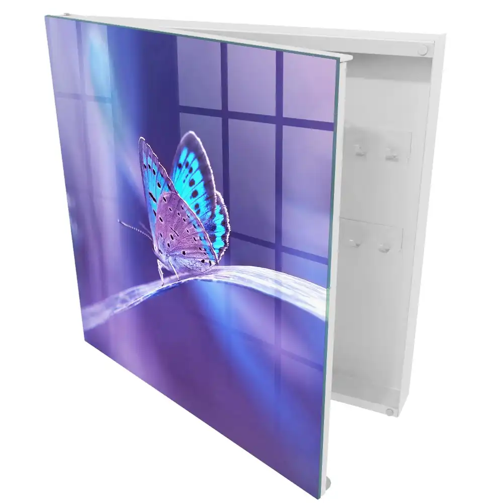 Armoire à clés papillon coloré sur fond violet
