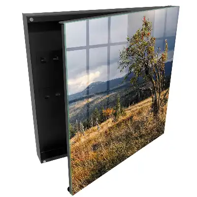 Armoire à clés paysage de montagne avec un arbre et le ciel