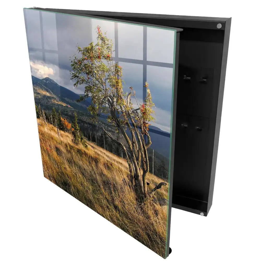 Armoire à clés paysage de montagne avec un arbre et le ciel
