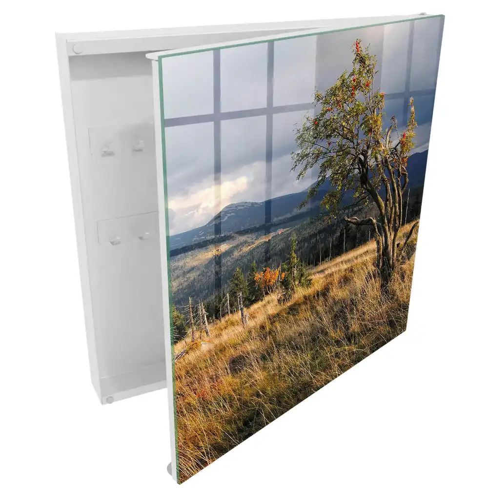 Armoire à clés paysage de montagne avec un arbre et le ciel
