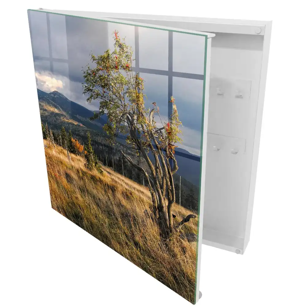 Armoire à clés paysage de montagne avec un arbre et le ciel
