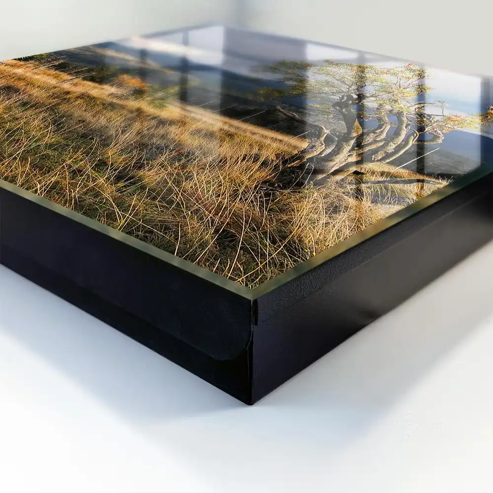 Armoire à clés paysage de montagne avec un arbre et le ciel